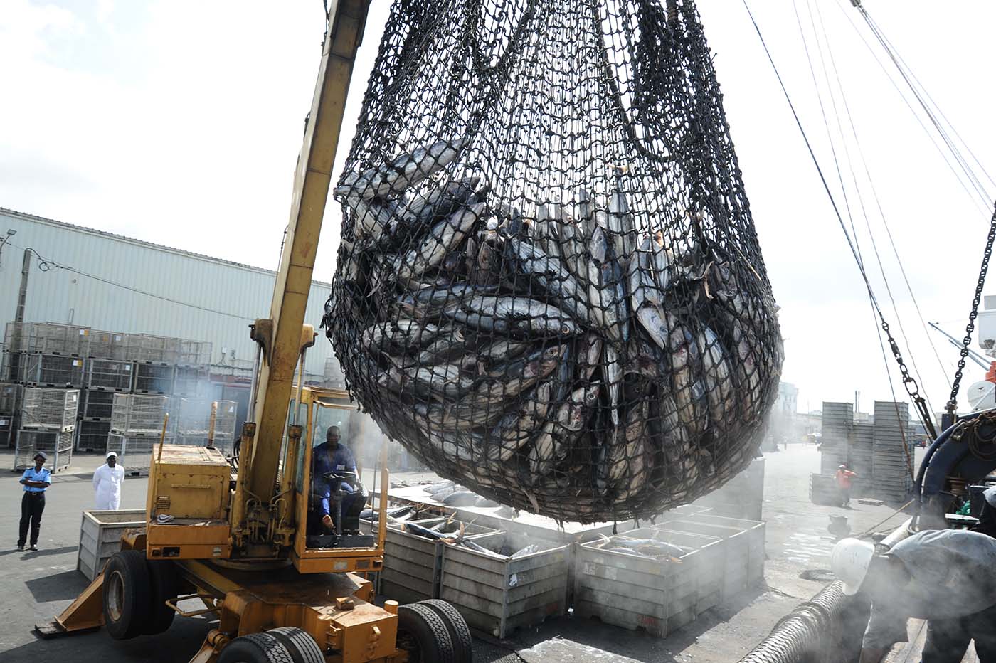 Fishing terminal Port Autonome d'Abidjan